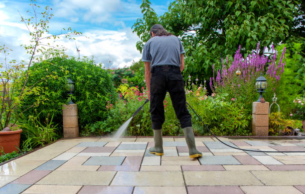 Best Roof Cleaning and Mildew Removal in Maxwell, CA